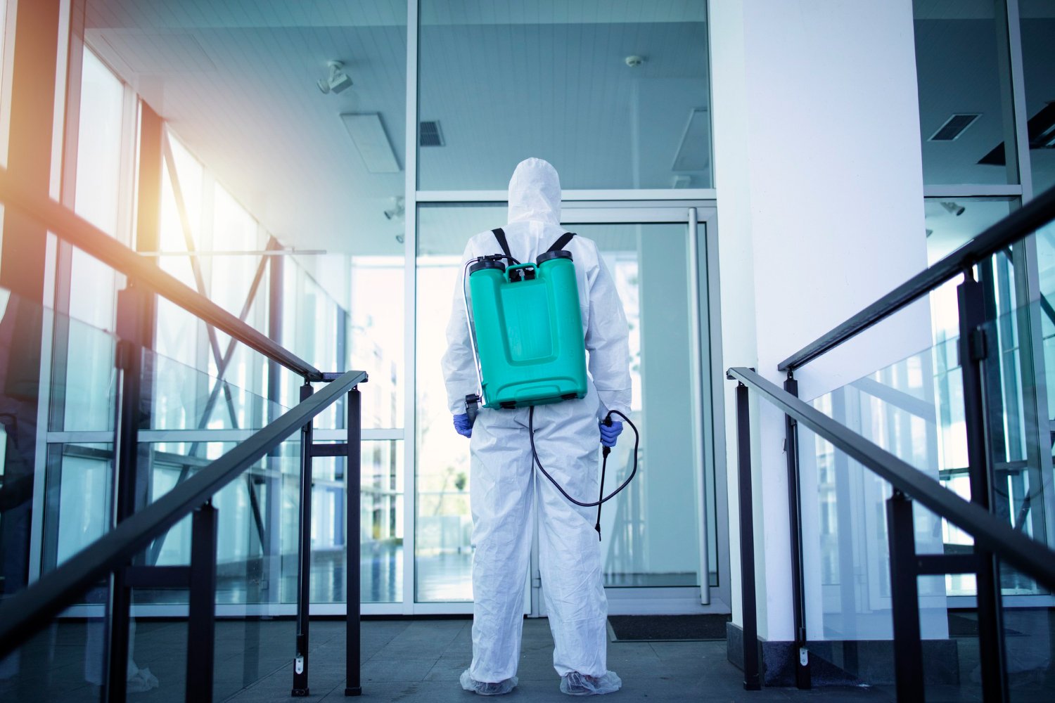 What to Expect from a Professional Pest Control Service